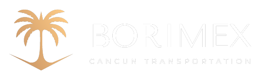Borimex